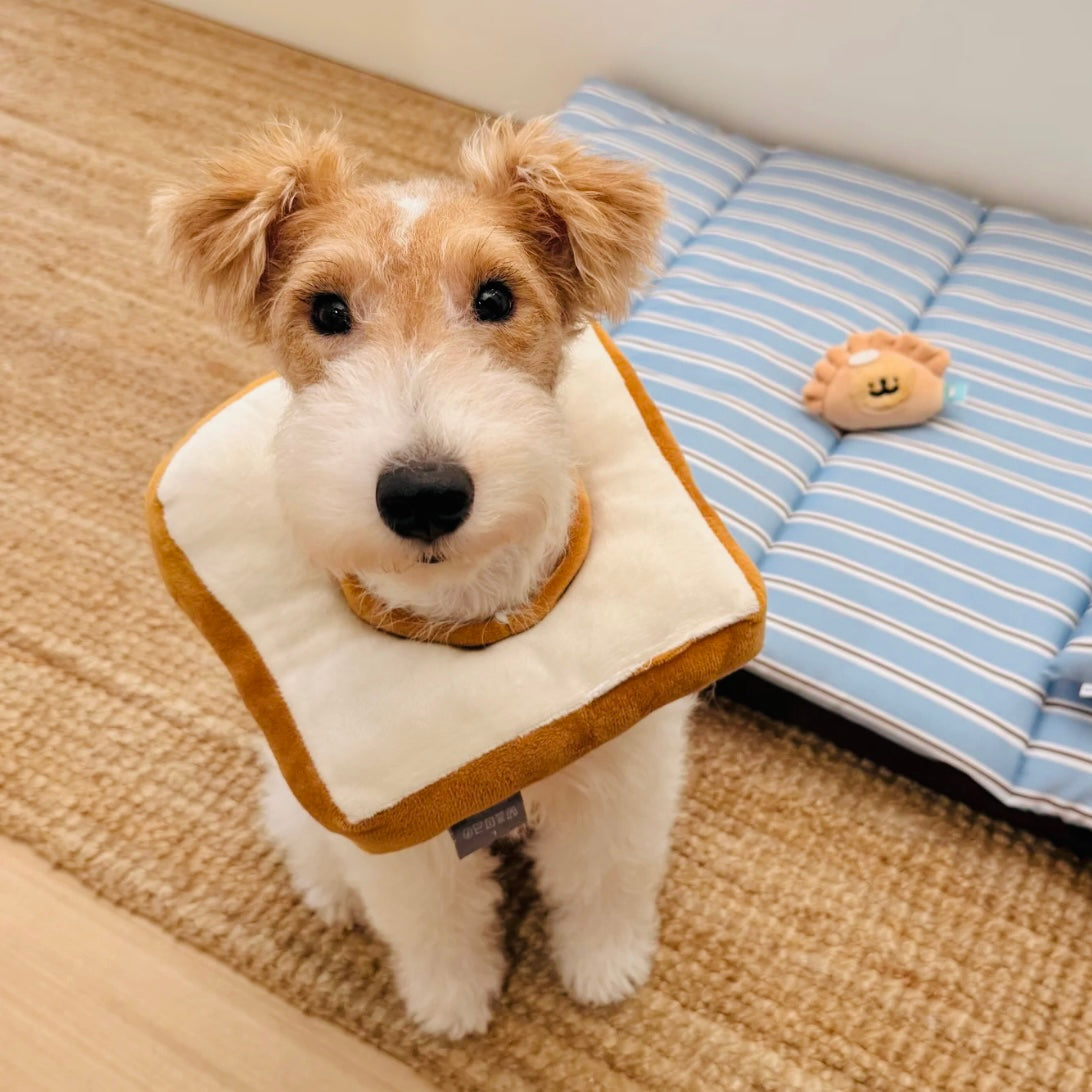Kawaii square Elizabeth collar for small pets – plush toast design