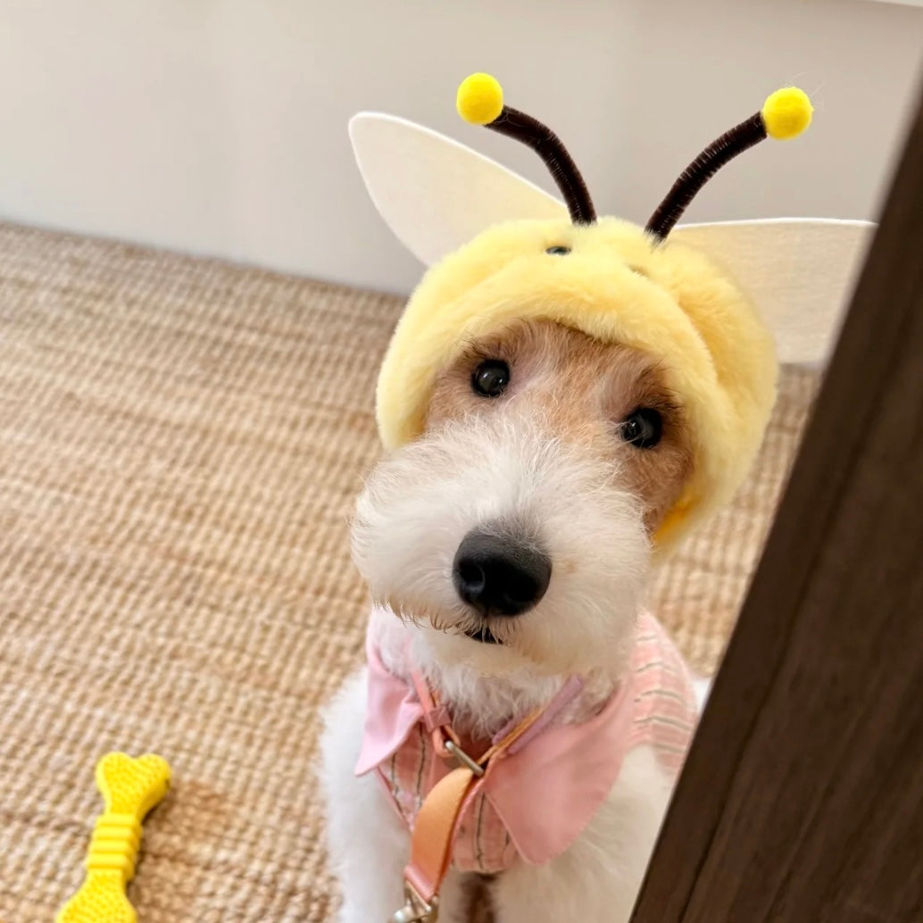 Funny dog hat shaped like a bee for small breeds