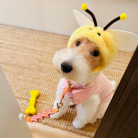 Small dog in soft yellow bee hat for pets – adjustable face opening