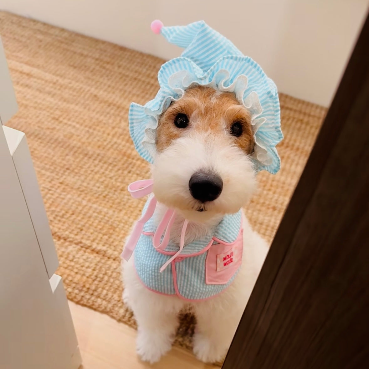 Striped Dog Bandana Bib & Hat – Soft Cotton Absorbent Pet Scarf for Puppies & Small Dogs - Ayaya