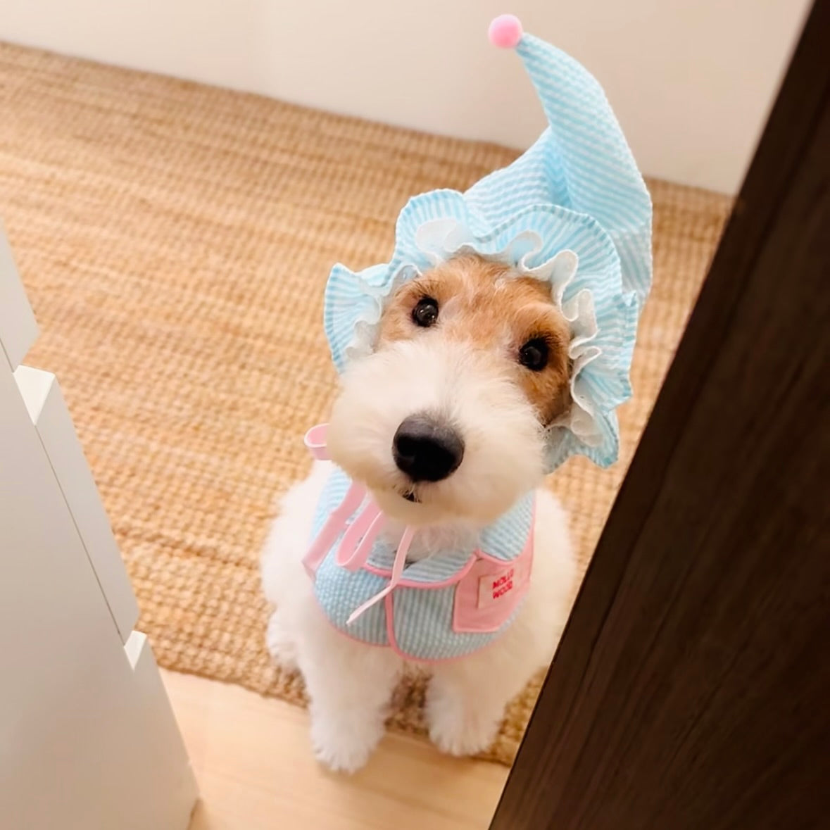 Striped Dog Bandana Bib & Hat – Soft Cotton Absorbent Pet Scarf for Puppies & Small Dogs - Ayaya