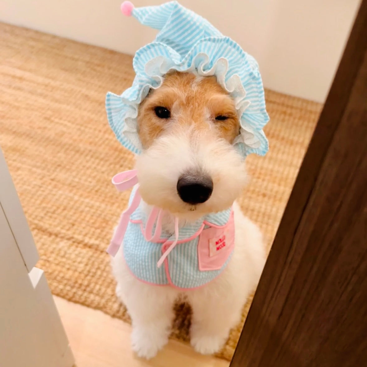 Striped Dog Bandana Bib & Hat – Soft Cotton Absorbent Pet Scarf for Puppies & Small Dogs - Ayaya