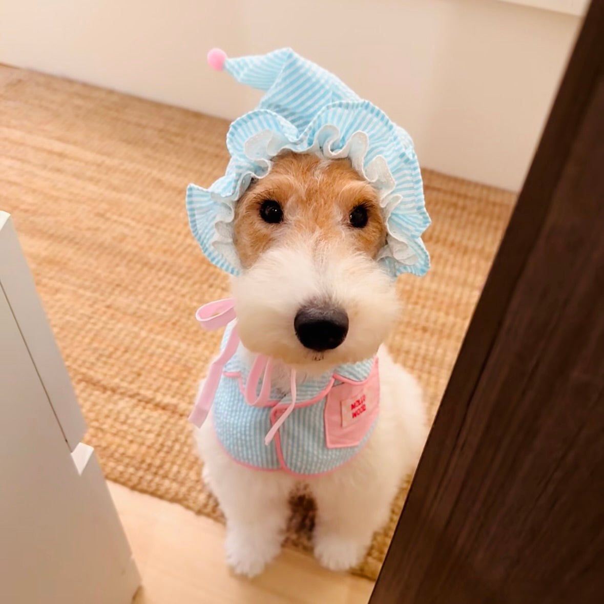 Striped Dog Bandana Bib & Hat – Soft Cotton Absorbent Pet Scarf for Puppies & Small Dogs - Ayaya