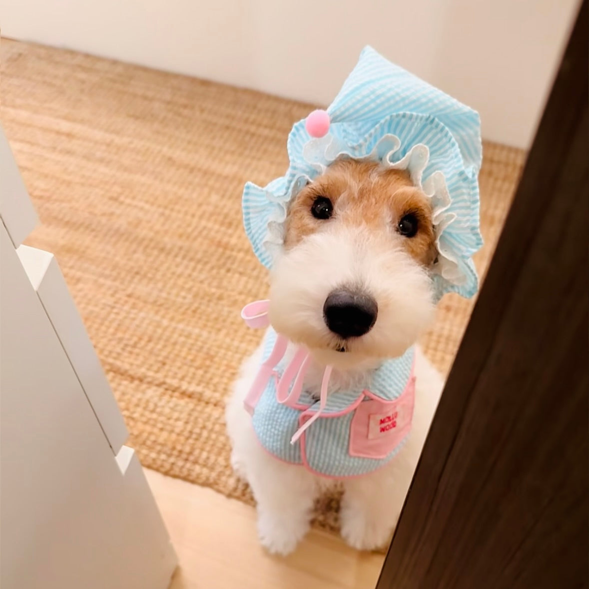 Striped Dog Bandana Bib & Hat – Soft Cotton Absorbent Pet Scarf for Puppies & Small Dogs - Ayaya
