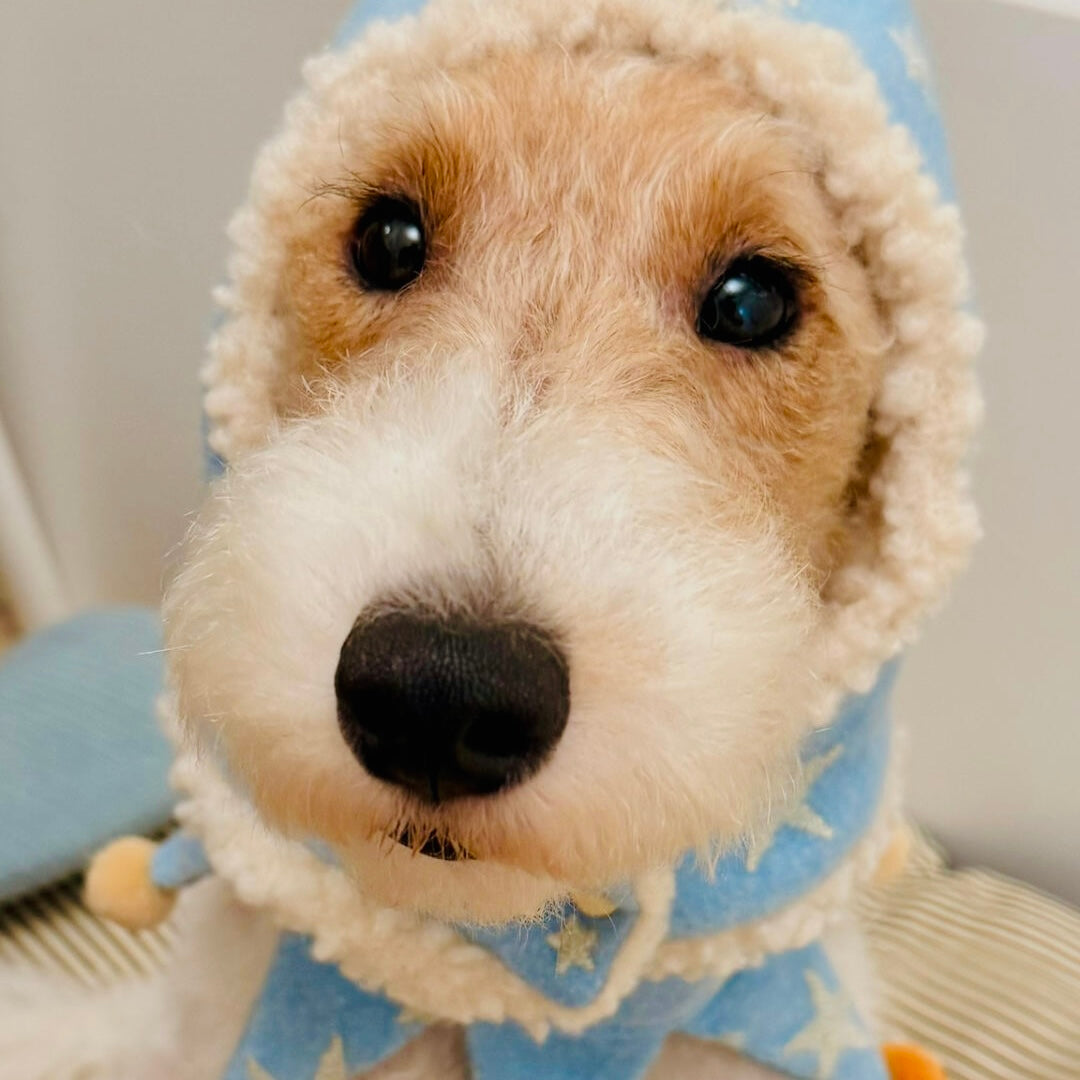 Small dog in winter star hat and bib set with gold embroidery