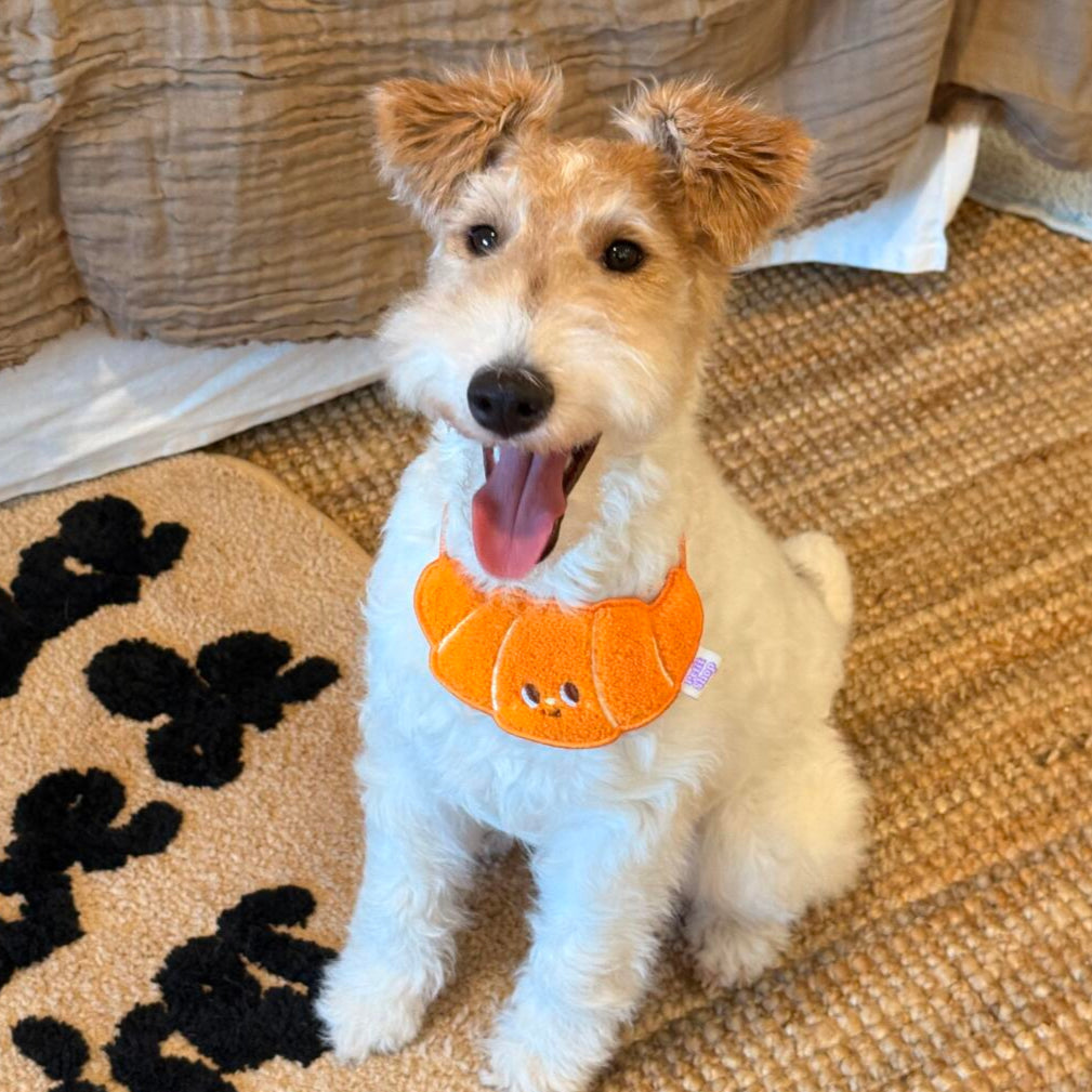 Small dog wearing cute croissant dog bib – kawaii embroidered pet accessory