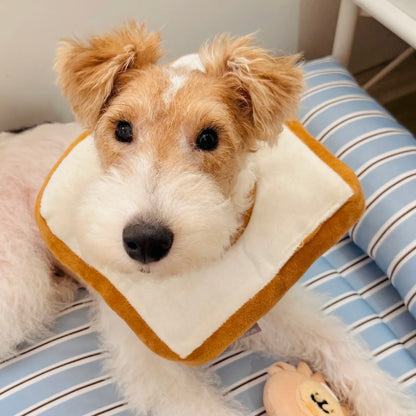 Soft toast dog recovery collar for Fox Terrier, Poodle, and Bichon