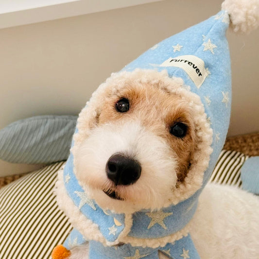 Fox Terrier wearing blue star hoodie and pom pom cape – cute dog outfit
